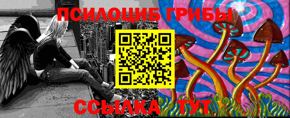 Псилоцибиновые грибы GOLDEN TEACHER Каменск-Шахтинский
